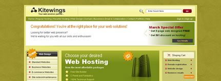 Hosting service providers - kitewings