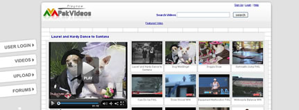 Online Video website - viddler API
